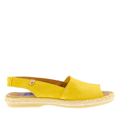 Verbenas for Neo 'Altea 061' / Amarillo 214