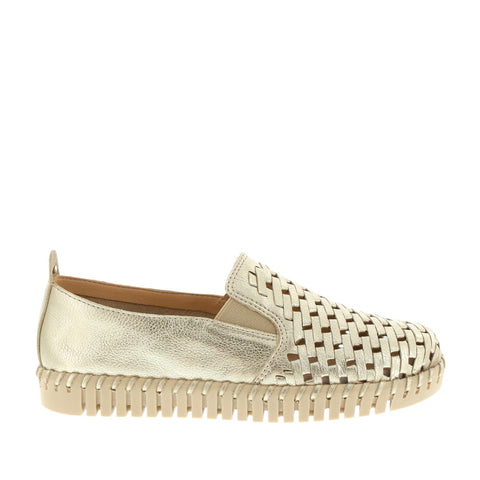 nuxneo 'Sivana/BT-374101' / Dourado 22 Gold