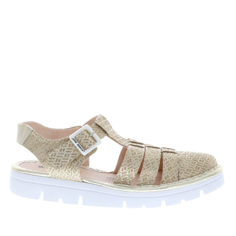Jose Saenz 'JS-2255-CR-MD' / Cham/Cham/Cham
