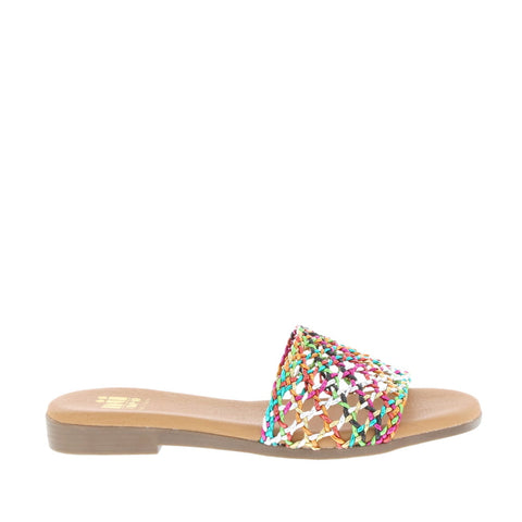 nuxneo 'Serena/TA-8638' / Multicolor
