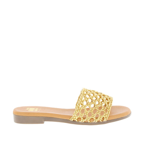 nuxneo 'Serena/TA-8638' / Oro