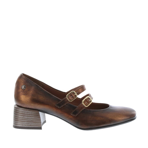 nuxneo 'Avenal/TA-9995' / Bronce