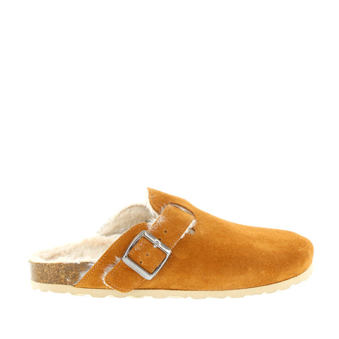 Verbenas 'VE-Roux' / Setter