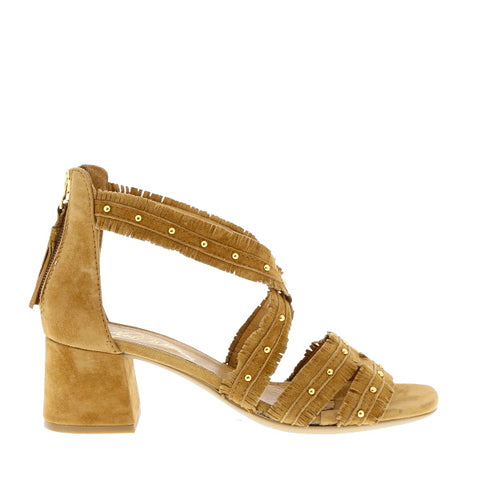 Alpe '3708' / Camel