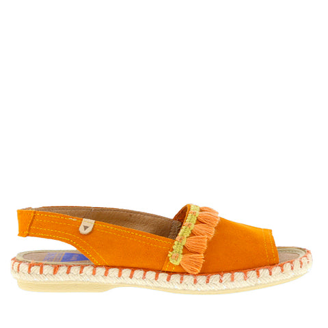 Verbenas for Neo 'Altea 061' / Mandarina 291