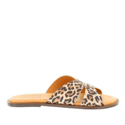 Verbenas 'VE-Iris' / Leopardo grande