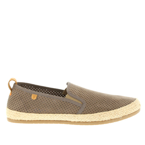 Verbenas 'VE-Kenny' / Taupe