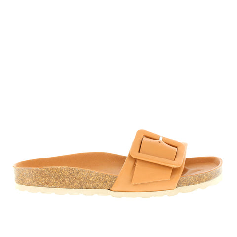 Verbenas 'VE-Reiko ' / Ginger